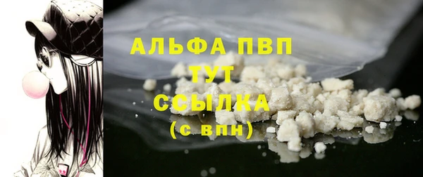 крисы Инта