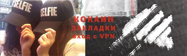 крисы Инта