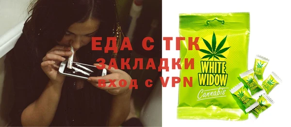 крисы Инта