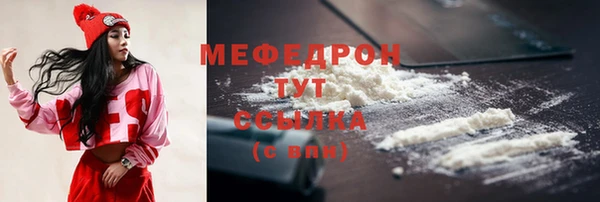 крисы Инта
