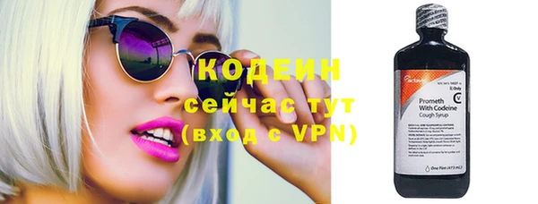 крисы Инта