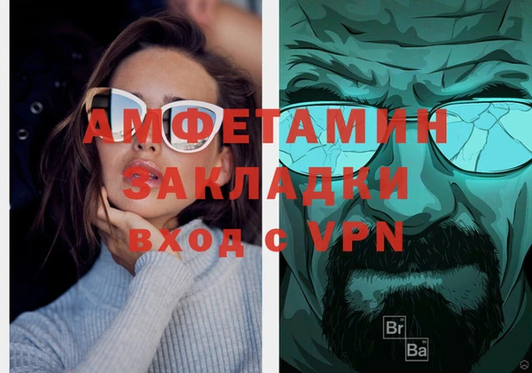 крисы Инта