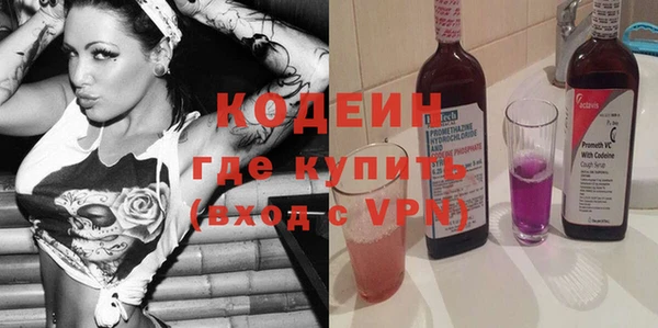 крисы Инта