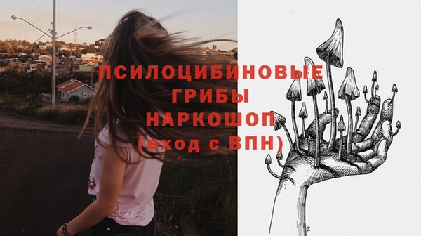 крисы Инта