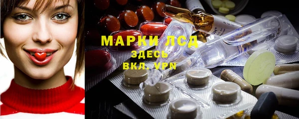 мет Инсар