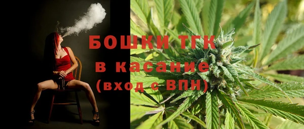 мет Инсар