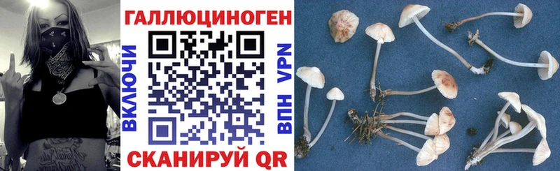 Псилоцибиновые грибы ЛСД  Купить где  Аша 